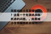 凤凰城做小生意赚钱吗?这是一个充满挑战和机遇的问题。,凤凰城小生意赚钱机会探讨