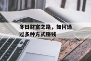 冬日财富之路，如何通过多种方式赚钱