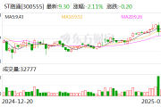 ST路通:聘任顾忠辉担任公司总经理