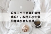 农民工小生意真的能赚钱吗?,农民工小生意的赚钱机会与挑战