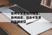 徐州小生意如何赚钱,徐州创业,适合小生意的盈利途径 徐州小生意如何赚钱,徐州创业,适合小生意的盈利途径