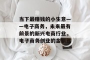 当下最赚钱的小生意——电子商务,未来最有前景的新兴电商行业,电子商务创业的金钥匙 当下最赚钱的小生意——电子商务,未来最有前景的新兴电商行业,电子商务创业的金钥匙
