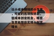以小成本赚钱的小生意,可能的选项和挑战,低成本创业机会,哪些生意能帮你实现小财富增长