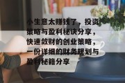 小生意太赚钱了，投资策略与盈利秘诀分享，快速敛财的创业策略，一份详细的财务规划与盈利秘籍分享