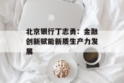 北京银行丁志勇:金融创新赋能新质生产力发展