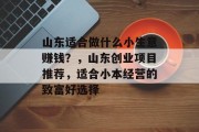山东适合做什么小生意赚钱?,山东创业项目推荐,适合小本经营的致富好选择 山东适合做什么小生意赚钱?,山东创业项目推荐,适合小本经营的致富好选择