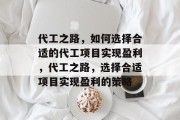 代工之路,如何选择合适的代工项目实现盈利,代工之路,选择合适项目实现盈利的策略