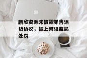 鹏欣资源未披露销售退货协议,被上海证监局处罚