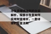 小生意赚钱法则的全面解析，探索小生意如何实现财富增长，一套详细的致富法则