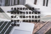小本创业的好选择——揭秘各种小生意的盈利模式，挖掘小生意盈利新秘密，揭秘盈利模式大揭秘