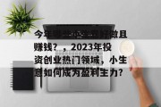 今年哪些小生意好做且赚钱？，2023年投资创业热门领域，小生意如何成为盈利主力?
