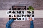 老家赚钱的小生意——农村创业指南,农村创业,打造家乡特色产业的致富新路径 老家赚钱的小生意——农村创业指南,农村创业,打造家乡特色产业的致富新路径