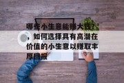哪些小生意能赚大钱?,如何选择具有高潜在价值的小生意以赚取丰厚回报 哪些小生意能赚大钱?,如何选择具有高潜在价值的小生意以赚取丰厚回报