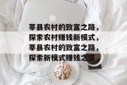 莘县农村的致富之路，探索农村赚钱新模式，莘县农村的致富之路，探索新模式赚钱之道