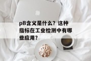 pB含义是什么?这种指标在工业检测中有哪些应用? pB含义是什么?这种指标在工业检测中有哪些应用?
