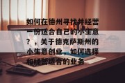 如何在德州寻找并经营一份适合自己的小生意?,关于德克萨斯州的小生意创业,如何选择和经营适合的业务 如何在德州寻找并经营一份适合自己的小生意?,关于德克萨斯州的小生意创业,如何选择和经营适合的业务