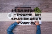 小生意项目赚钱吗？——一份全面分析，探讨各种小生意的盈利能力，一个全面的分析