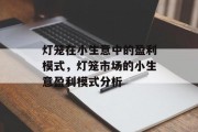 灯笼在小生意中的盈利模式,灯笼市场的小生意盈利模式分析 灯笼在小生意中的盈利模式,灯笼市场的小生意盈利模式分析