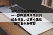 远安小生意赚钱吗?——一部探索其成功案例的全景图,远安小生意,成功案例与展望