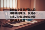 卖什么小生意好做？投资赚钱的建议，投资小生意，让你轻松实现盈利的五大项目