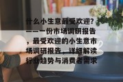 什么小生意最受欢迎？——一份市场调研报告，最受欢迎的小生意市场调研报告，详细解读行业趋势与消费者需求