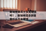新加坡做点小生意赚钱吗?,新加坡适合创业做什么行业赚钱 新加坡做点小生意赚钱吗?,新加坡适合创业做什么行业赚钱