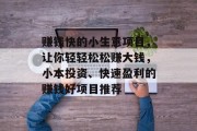 赚钱快的小生意项目，让你轻轻松松赚大钱，小本投资、快速盈利的赚钱好项目推荐