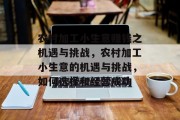 农村加工小生意赚钱之机遇与挑战，农村加工小生意的机遇与挑战，如何选择和经营成功