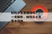好的小生意赚钱吗？，一文解析，如何从小生意中获利