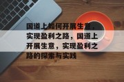 国道上如何开展生意，实现盈利之路，国道上开展生意，实现盈利之路的探索与实践