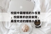 校园中最赚钱的小生意，校园里的创业新宠，最受欢迎的赚钱小生意