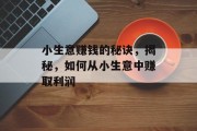 小生意赚钱的秘诀,揭秘,如何从小生意中赚取利润 小生意赚钱的秘诀,揭秘,如何从小生意中赚取利润