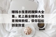 赚钱小生意的视频大全集,史上最全赚钱小生意视频教程,带你轻松创业致富