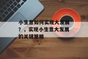小生意如何实现大发展?,实现小生意大发展的关键策略 小生意如何实现大发展?,实现小生意大发展的关键策略