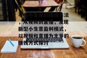 寻找小生意的赚钱方法,从视频到直播,发现新型小生意盈利模式,以视频和直播为主导的赚钱方式探讨 寻找小生意的赚钱方法,从视频到直播,发现新型小生意盈利模式,以视频和直播为主导的赚钱方式探讨