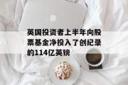 英国投资者上半年向股票基金净投入了创纪录的114亿英镑 英国投资者上半年向股票基金净投入了创纪录的114亿英镑