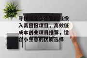 寻找适合小生意的低投入高回报项目,高效低成本创业项目推荐,适合小生意的优质选择