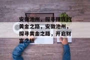 安徽池州，探寻赚钱的黄金之路，安徽池州，探寻黄金之路，开启财富之旅