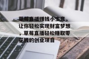 草莓直播赚钱小生意，让你轻松实现财富梦想，草莓直播轻松赚取零花钱的创业项目