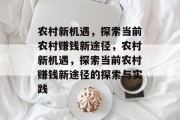 农村新机遇,探索当前农村赚钱新途径,农村新机遇,探索当前农村赚钱新途径的探索与实践 农村新机遇,探索当前农村赚钱新途径,农村新机遇,探索当前农村赚钱新途径的探索与实践