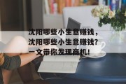 沈阳哪些小生意赚钱,沈阳哪些小生意赚钱?一文带你发现商机! 沈阳哪些小生意赚钱,沈阳哪些小生意赚钱?一文带你发现商机!