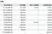 净值翻倍难掩“风格漂移”!前海开源基金旗下前海大安全核心混合重仓平安、指南针,换手率飙至1143.55%