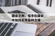 国企之利，探寻在国企中如何实现盈利之道
