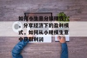 如何小生意分钱赚钱?,分享经济下的盈利模式,如何从小规模生意中获取利润