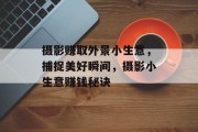 摄影赚取外景小生意,捕捉美好瞬间,摄影小生意赚钱秘诀