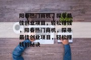 阳春热门商机,探寻最佳创业项目,轻松赚钱,阳春热门商机,探寻最佳创业项目,轻松赚钱的秘诀