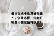 云南做啥小生意好赚钱?,创业选择,云南的哪些小生意值得投资? 云南做啥小生意好赚钱?,创业选择,云南的哪些小生意值得投资?
