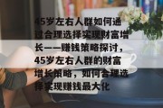 45岁左右人群如何通过合理选择实现财富增长——赚钱策略探讨,45岁左右人群的财富增长策略,如何合理选择实现赚钱最大化