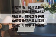 母婴市场,如何选择并成功运营母婴产品以实现盈利,如何选择并成功运营母婴产品以实现盈利,母婴市场的策略之道