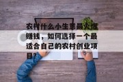 农村什么小生意最火爆赚钱,如何选择一个最适合自己的农村创业项目?
